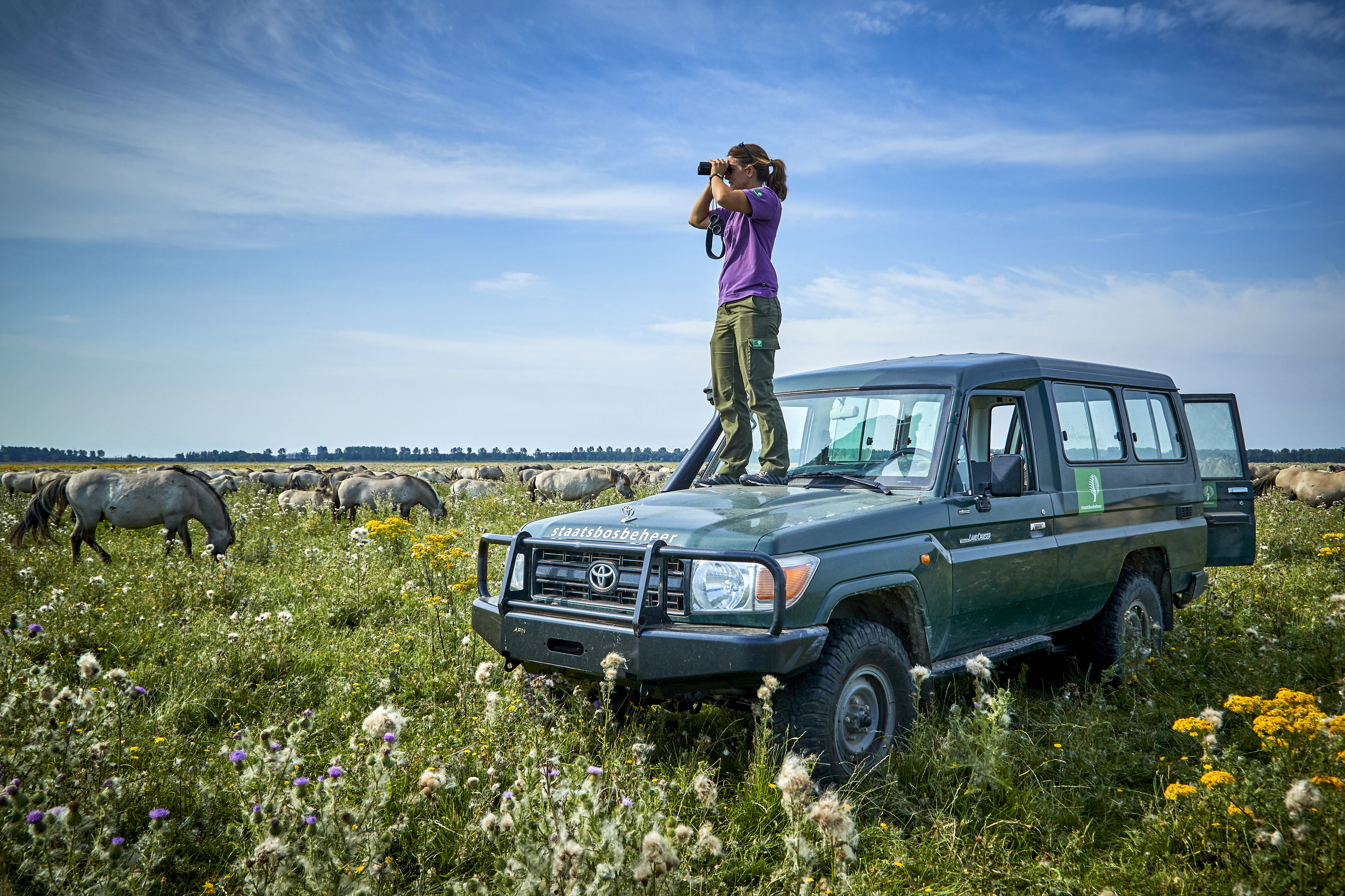 Jeepsafari