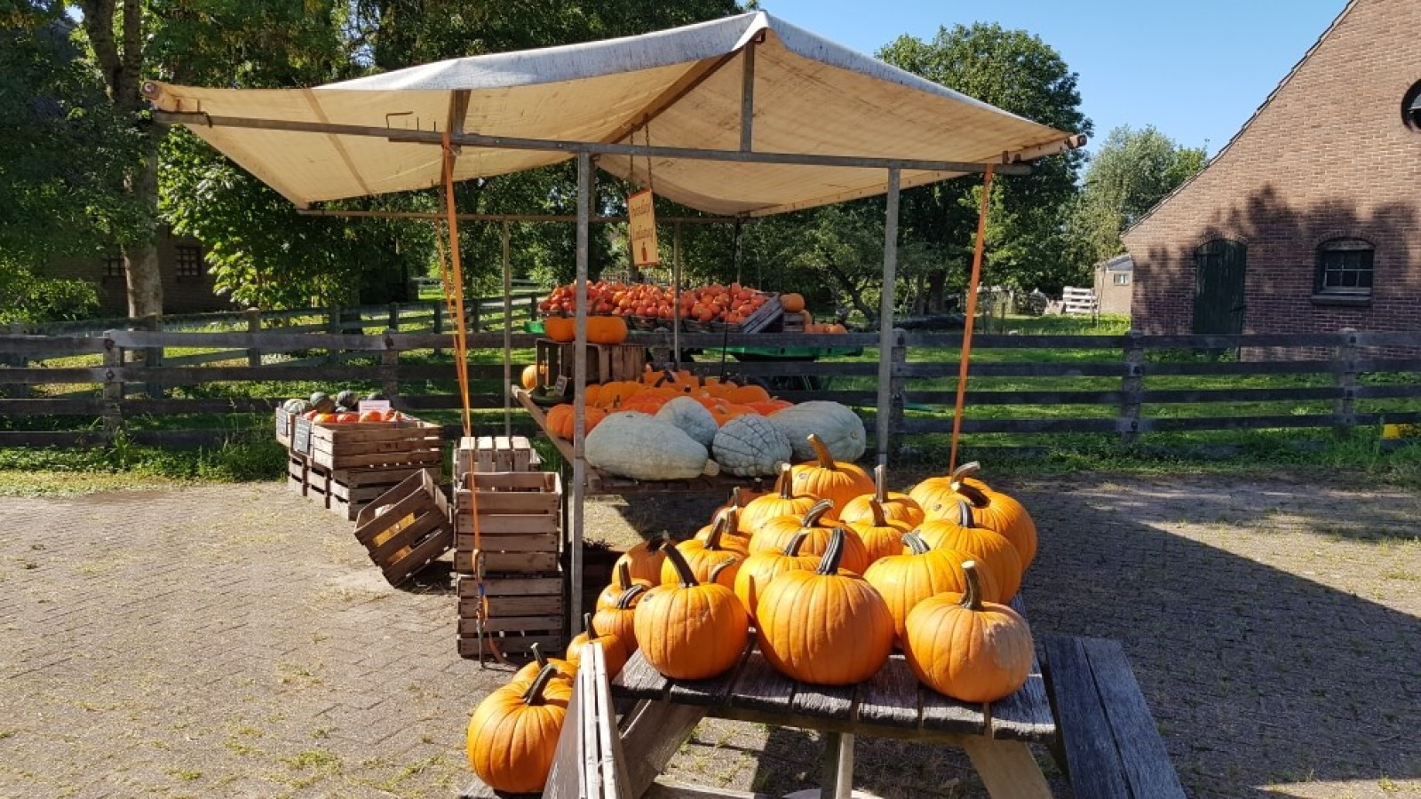 Fruitstalletje Landlustweg