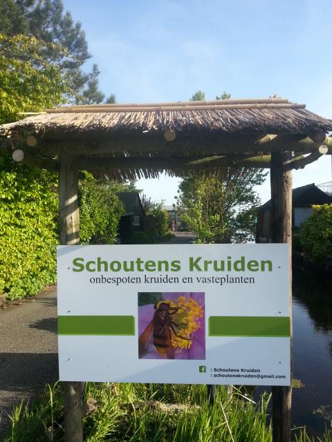 Schouten’s kruiden