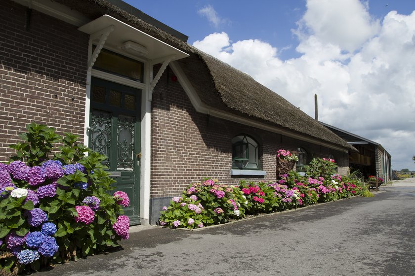 Zorgboerderij Valkendam