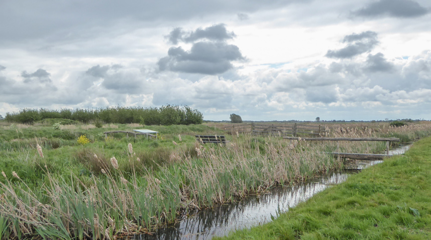 De Compierekade en het Rietveld