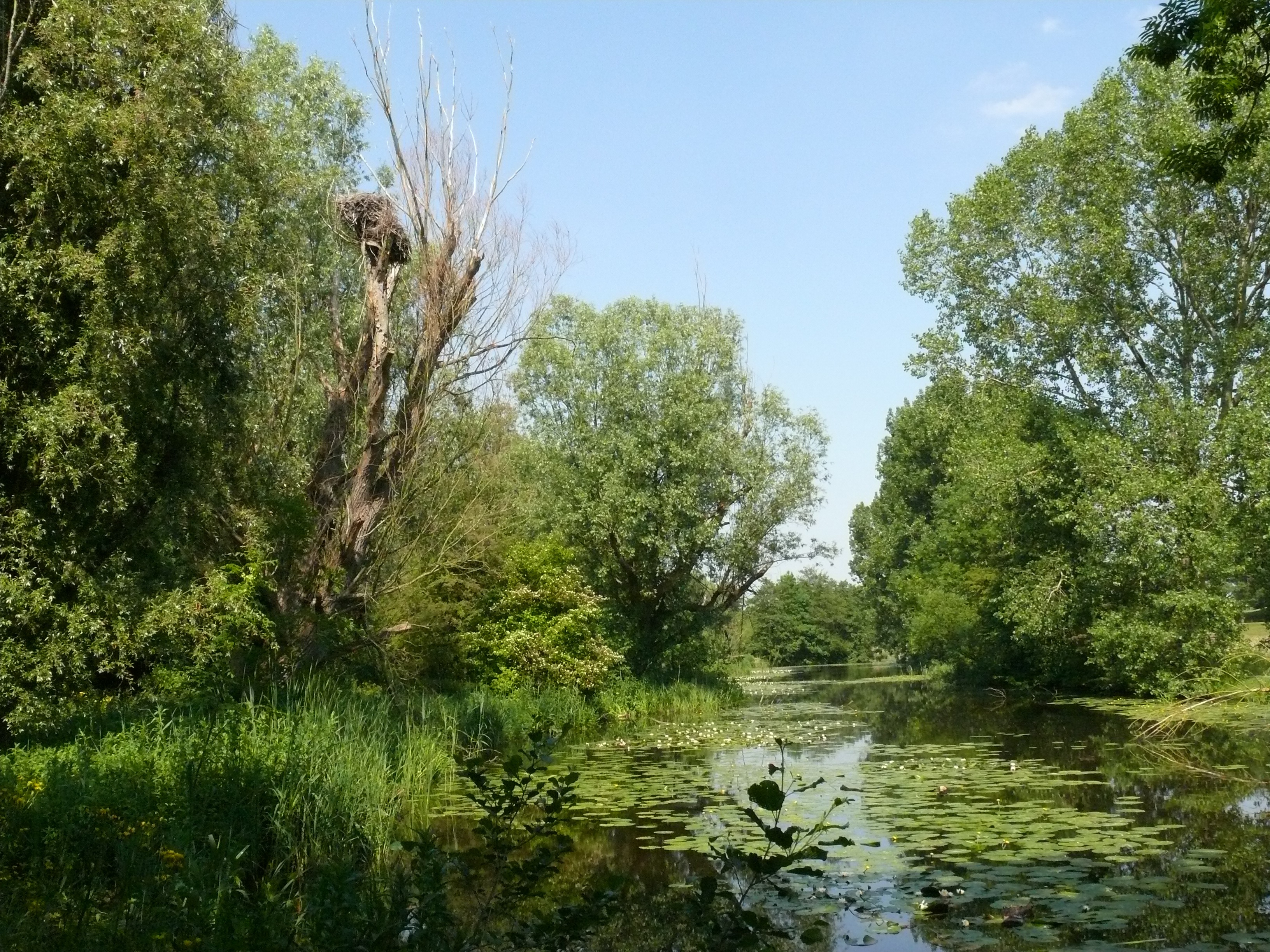 BRUG t.o. DE AARHOF