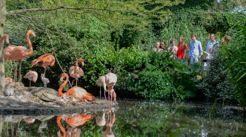 Vogelpark Avifauna