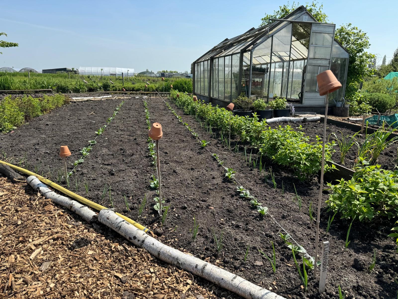 Zus & Zo planten