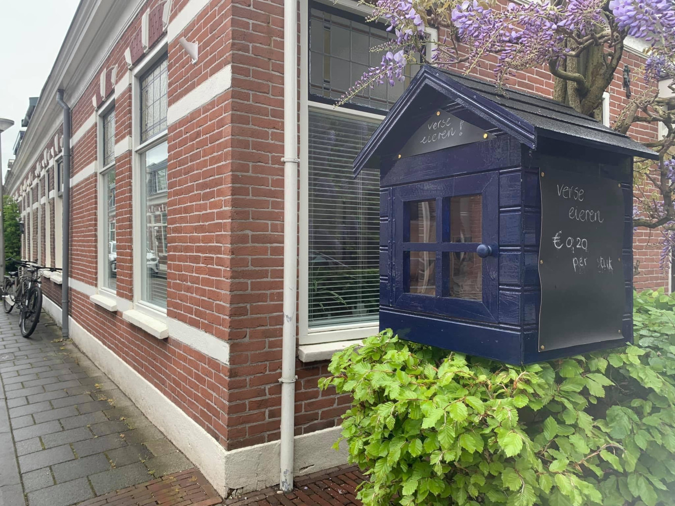 Eieren aan de weg