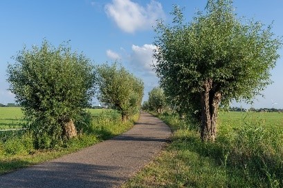 Batelaan, Ruigekade en Mattenkade