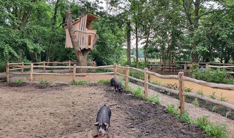 The Butchersfarm