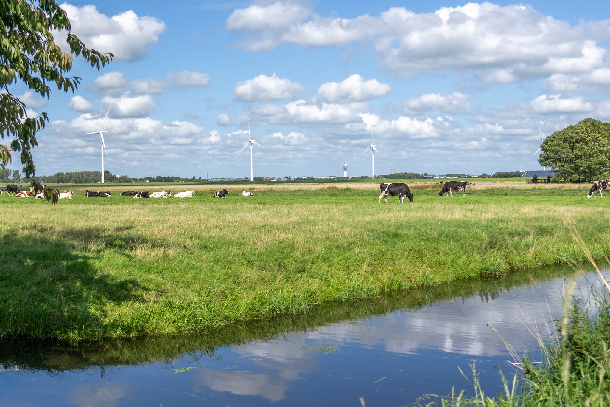 De Windturbines bij de N11 bij het Spookverlaat