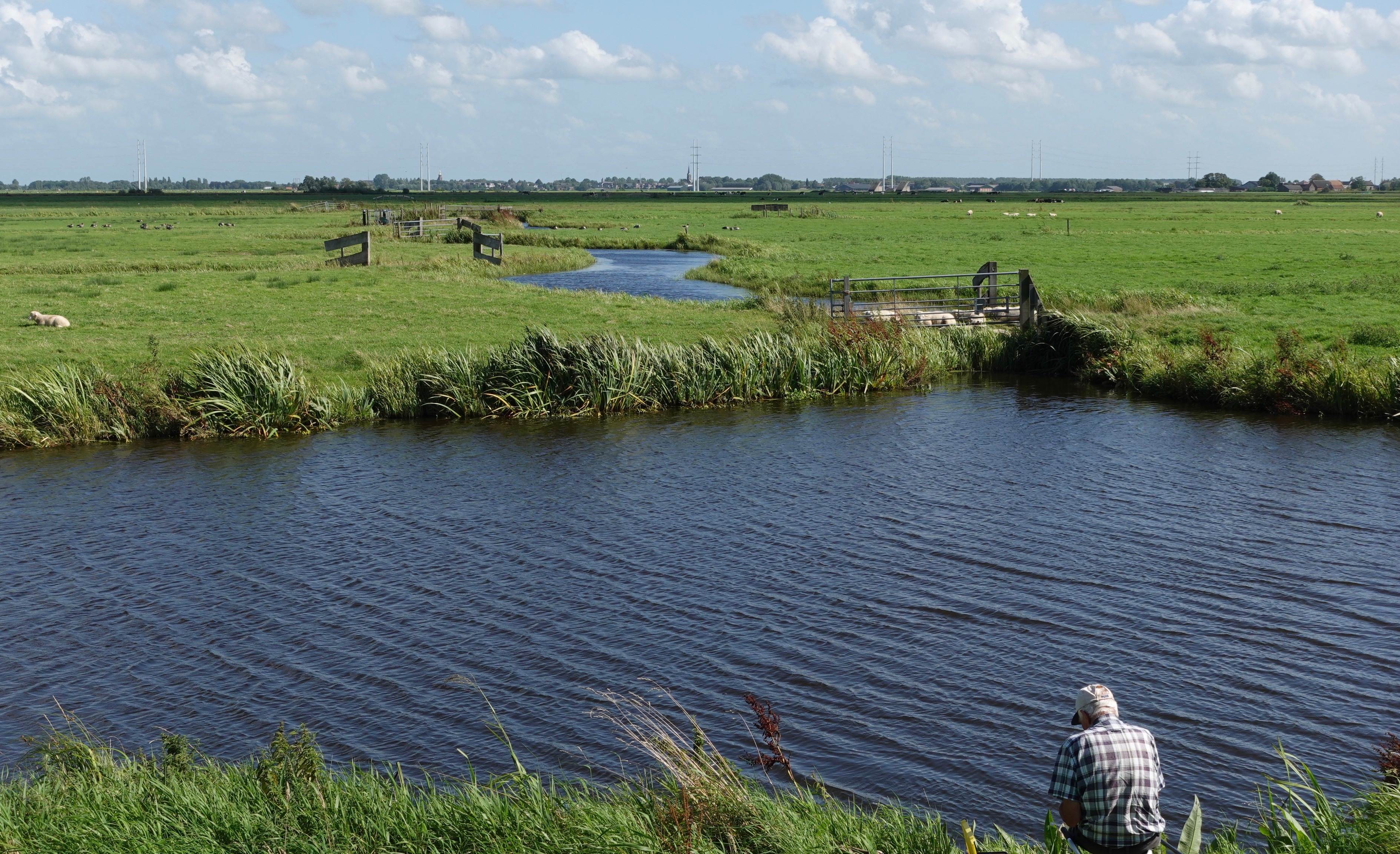De Wilck, rijk aan Weidevogels