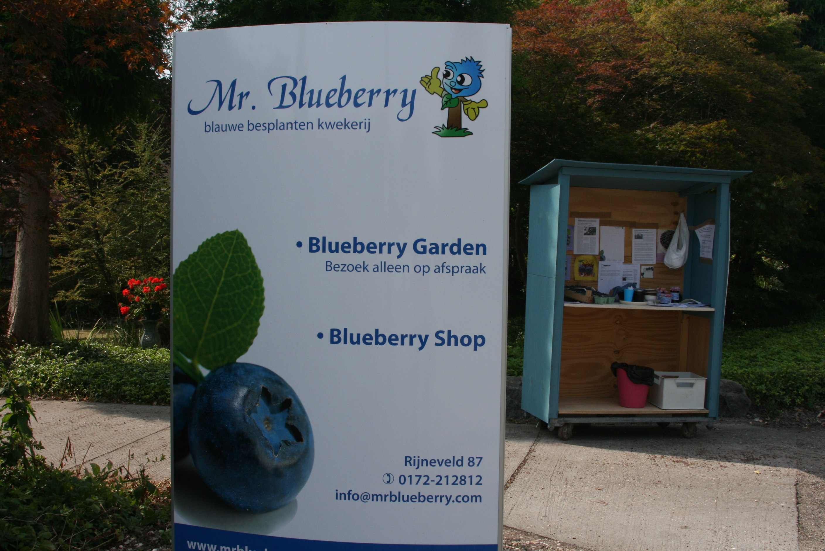 Mr. Blueberry