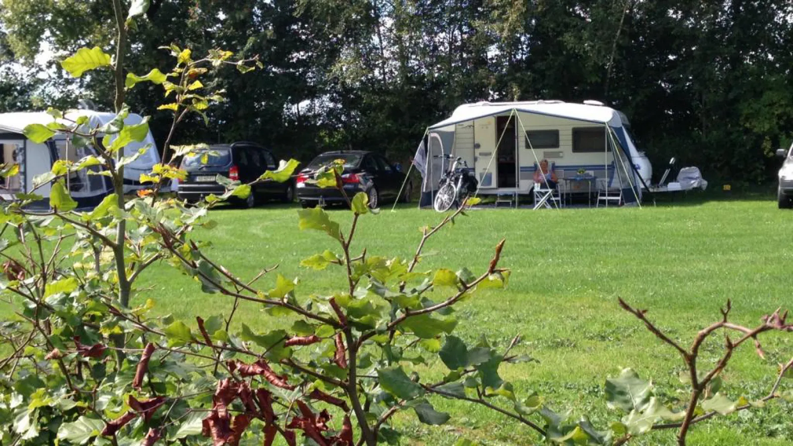Vakantiepark Capfun de Eikenhof - Photo 2