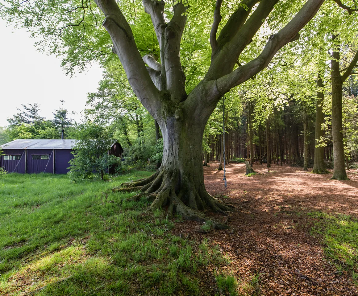 BoerenBed Het Wesselink in Salland - Photo 2
