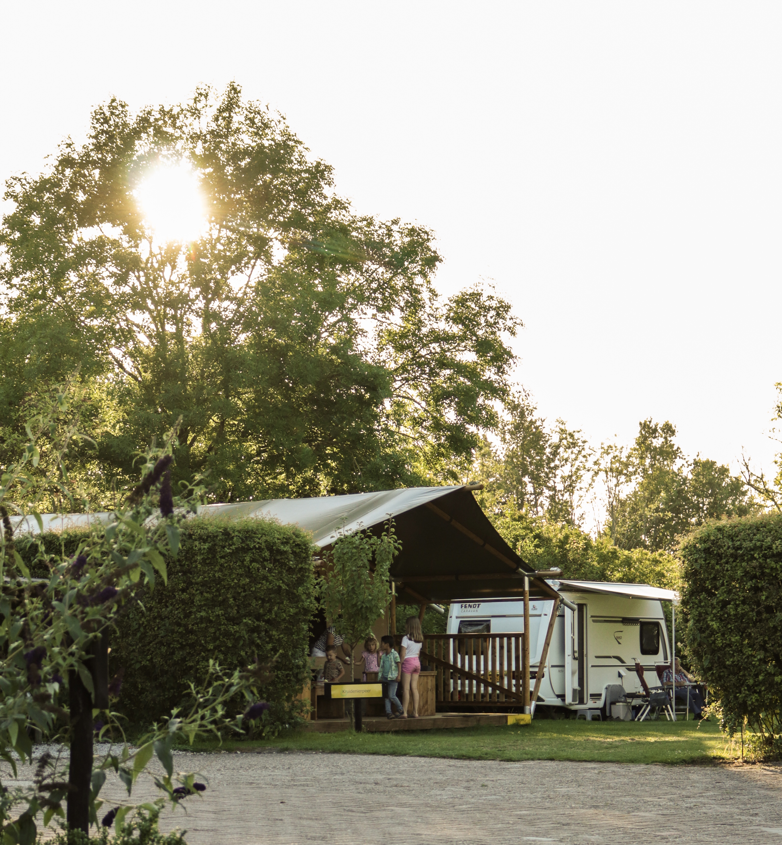 camping park De Toffe Peer photo 3