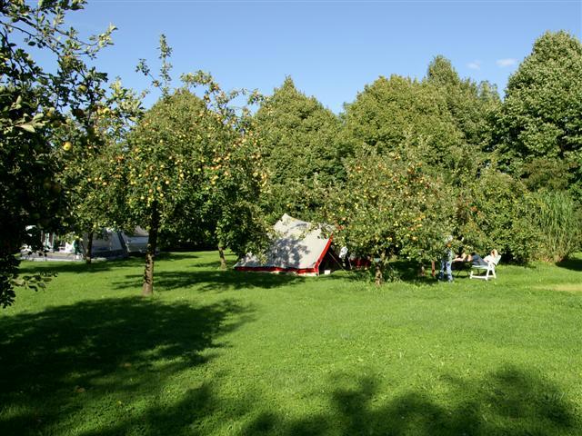 De Gaard mini campsite photo 2