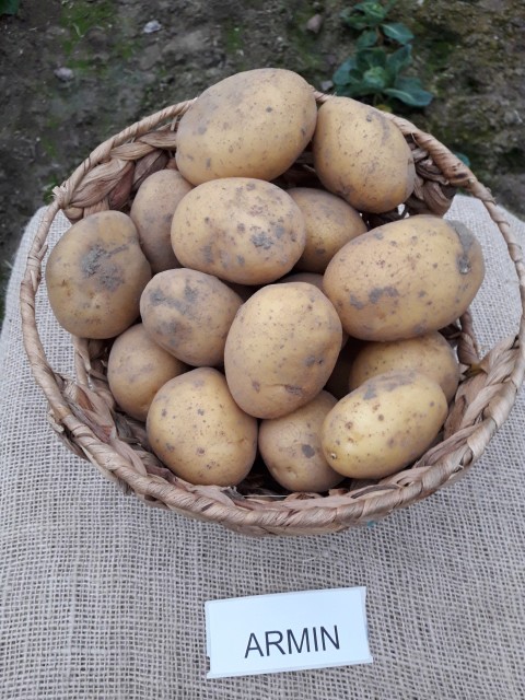 Foto 2 van 2