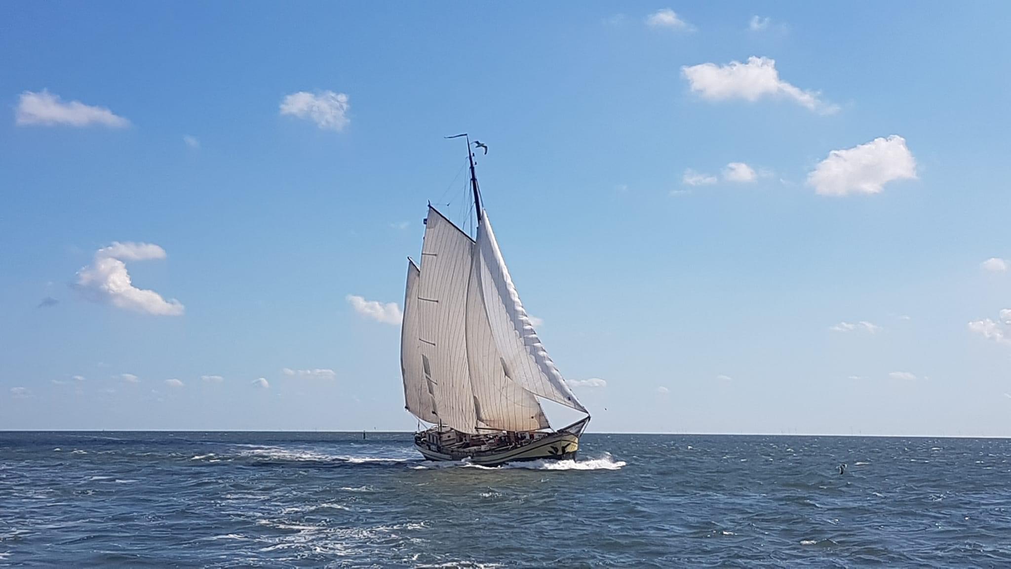 Foto 1 van 1