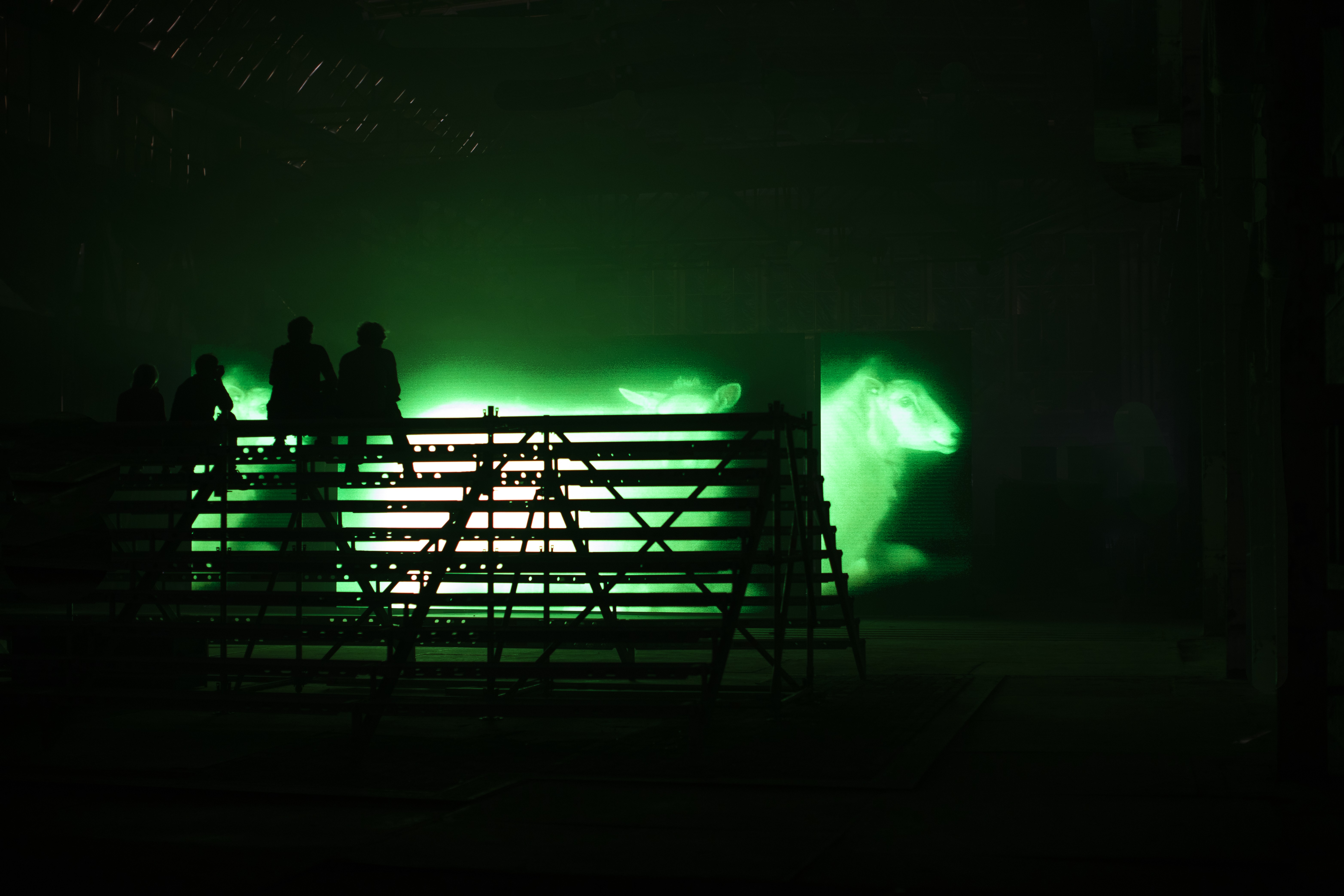 Tina Farifteh: Toen ik de zon en de maan tegelijk zag