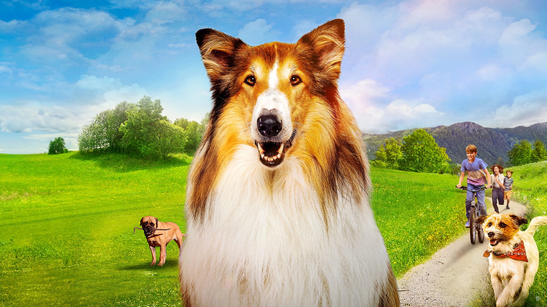 Familiefilm: Lassie, een nieuw avontuur