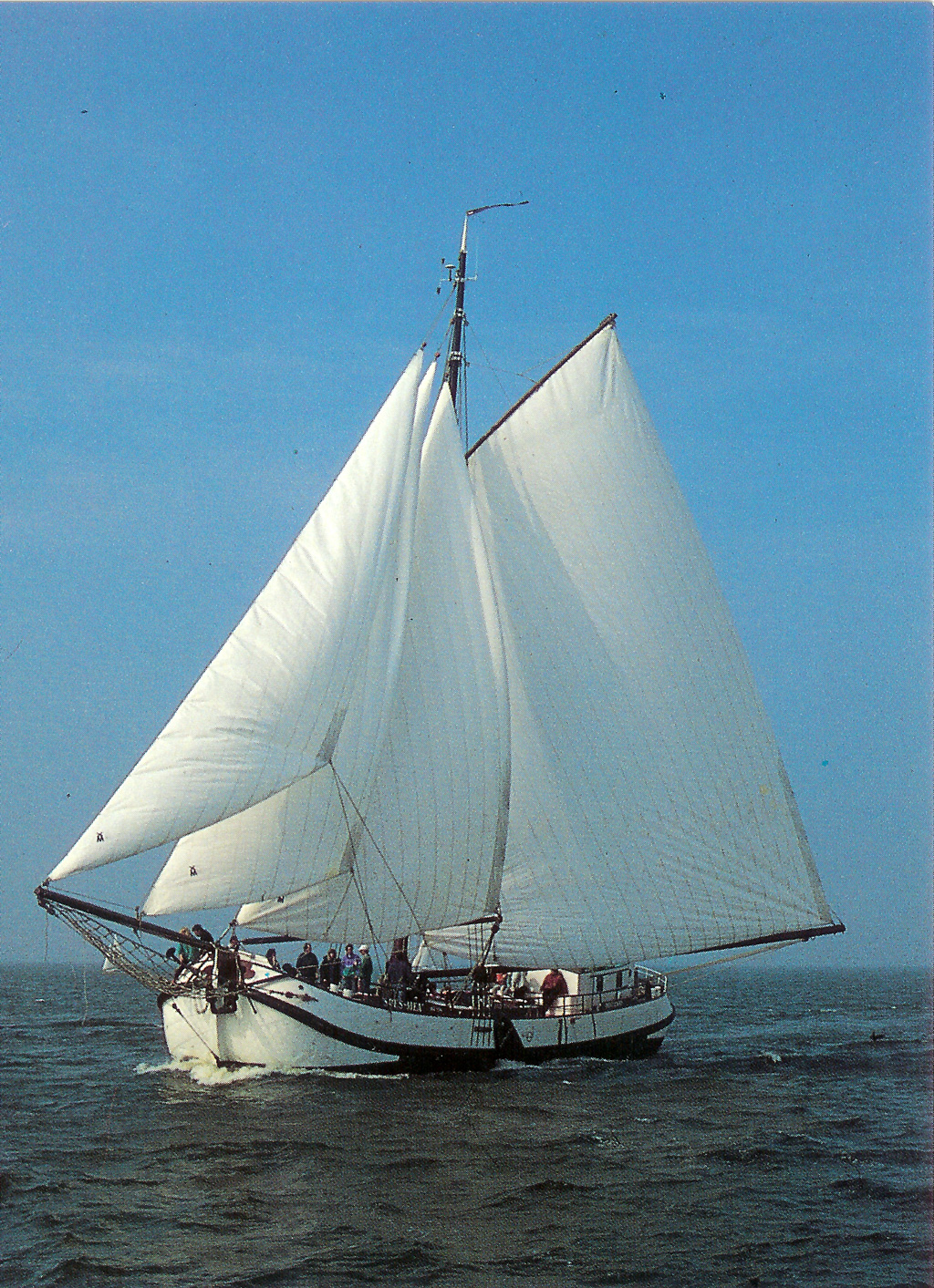 Foto 1 van 1