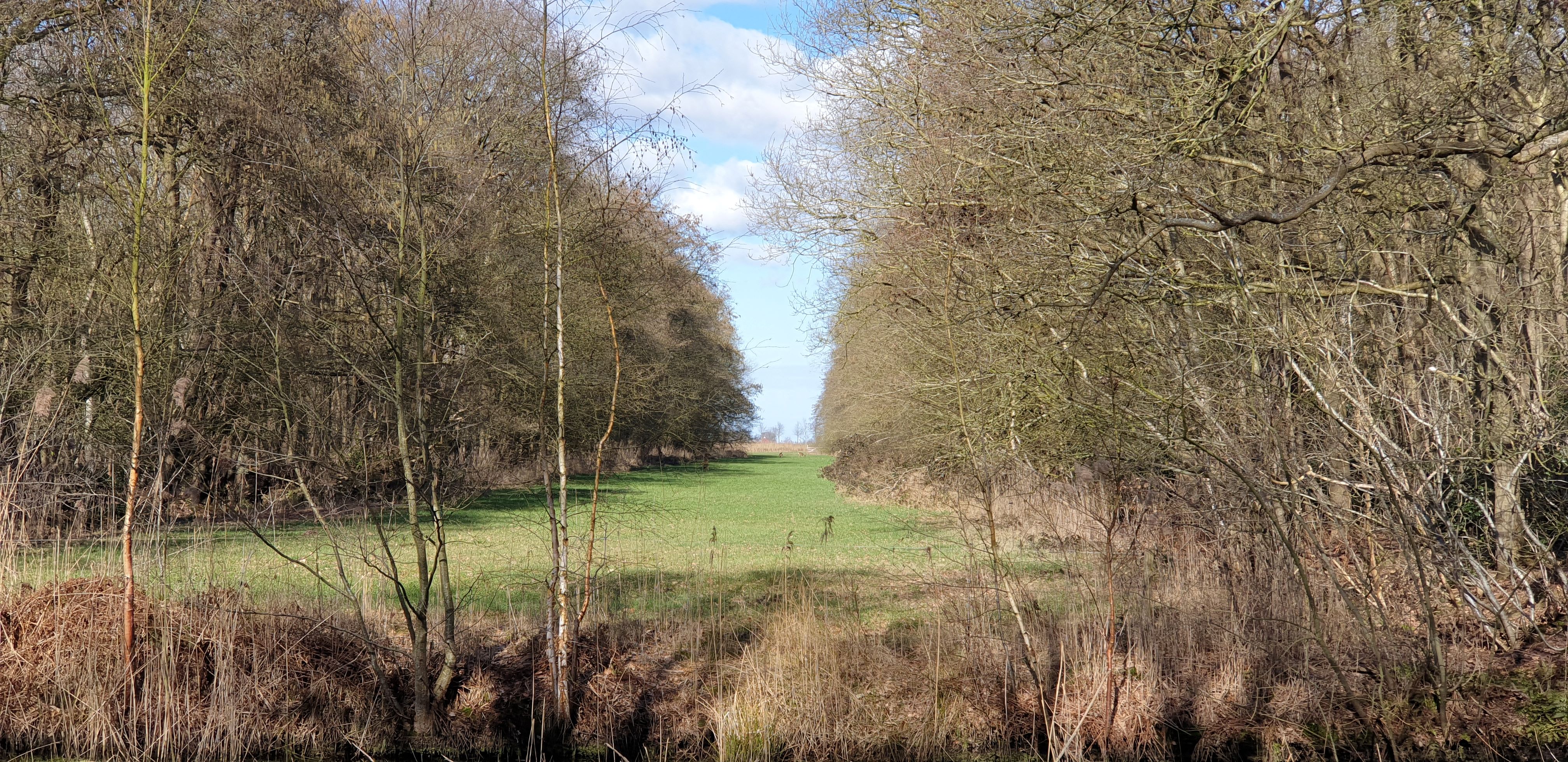 Winterwandeling door bos- en landgoederen rondom Balk