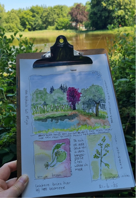 Workshop Natuurjournalen: een creatief schets- en schilderavontuur in de natuur