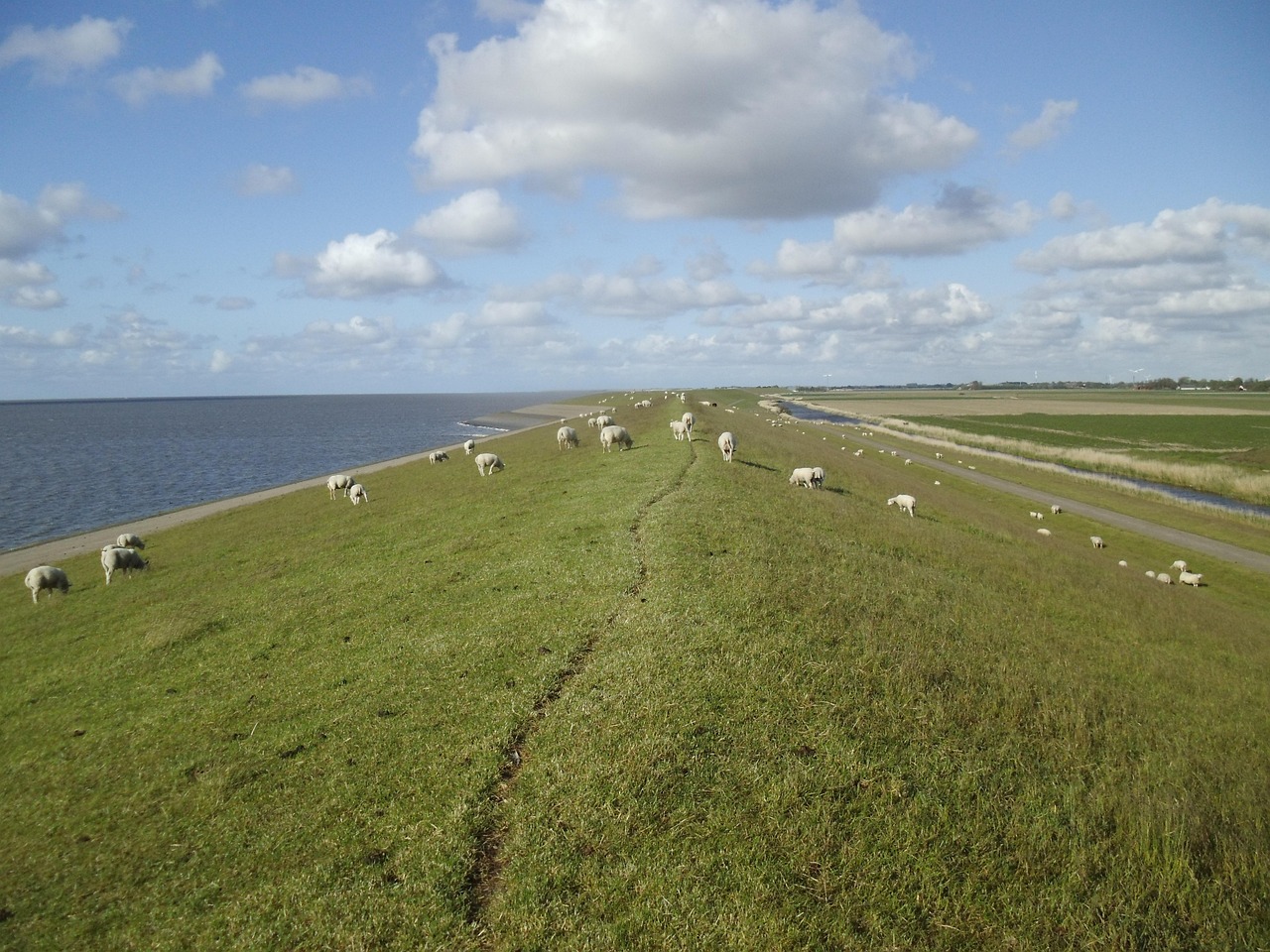 Wandeling: ‘Ontdek het Nationaal Landschap met een local’