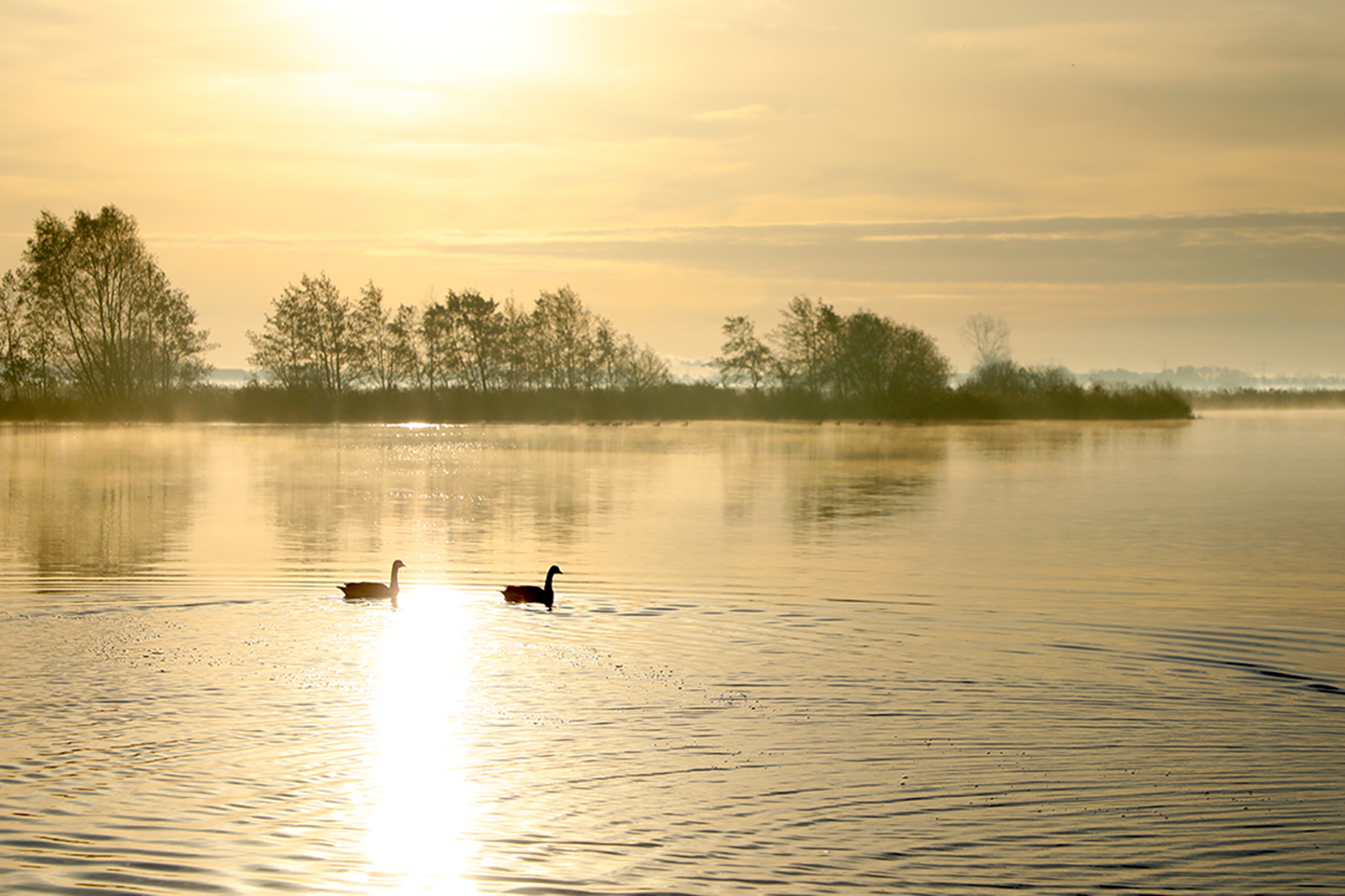 Lezing ’20 jaar Nationaal Landschap Zuidwest Fryslân in beeld’ door natuurfotograaf Jan Tijsma