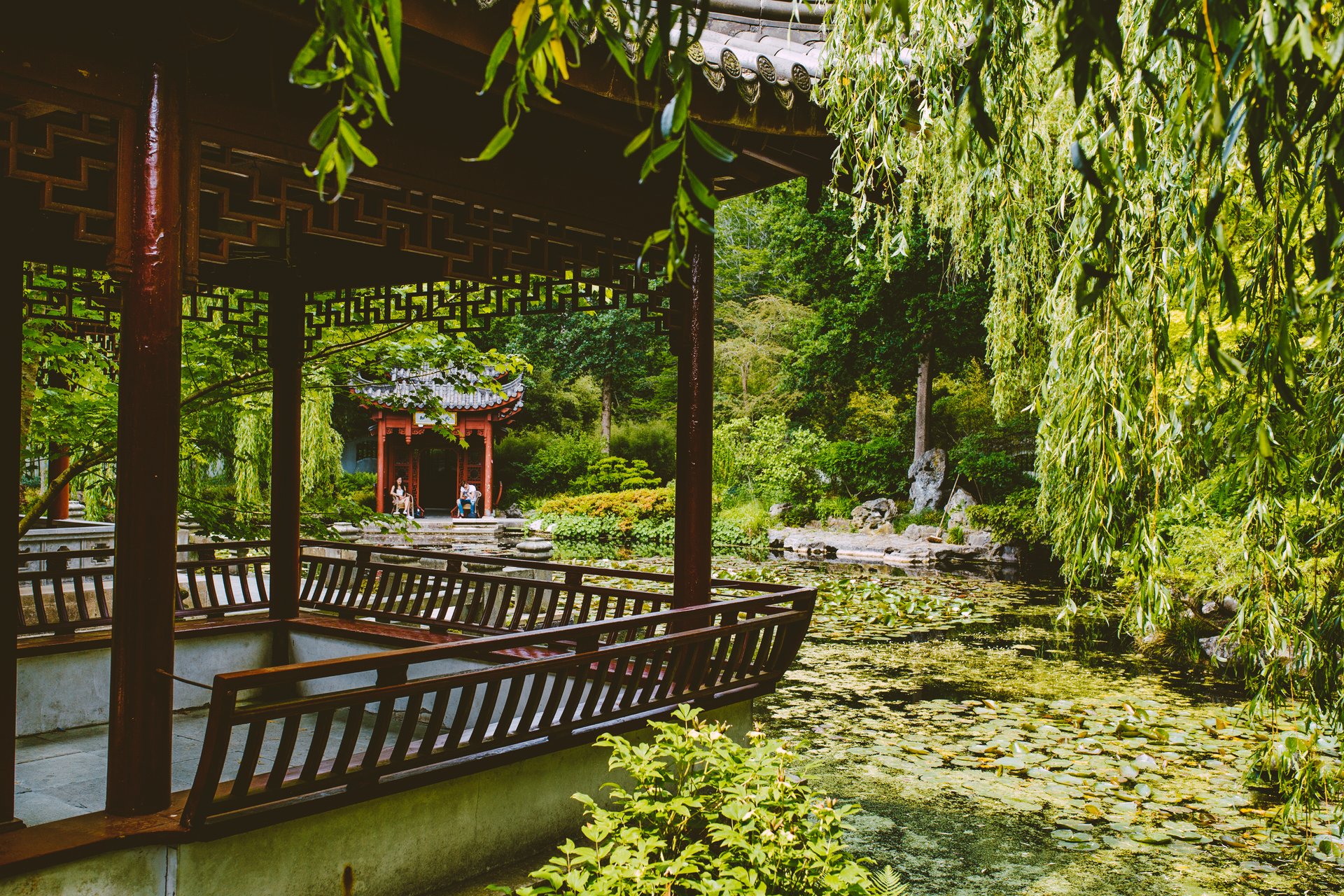 Haren Hortus botanical gardens | Visit Groningen