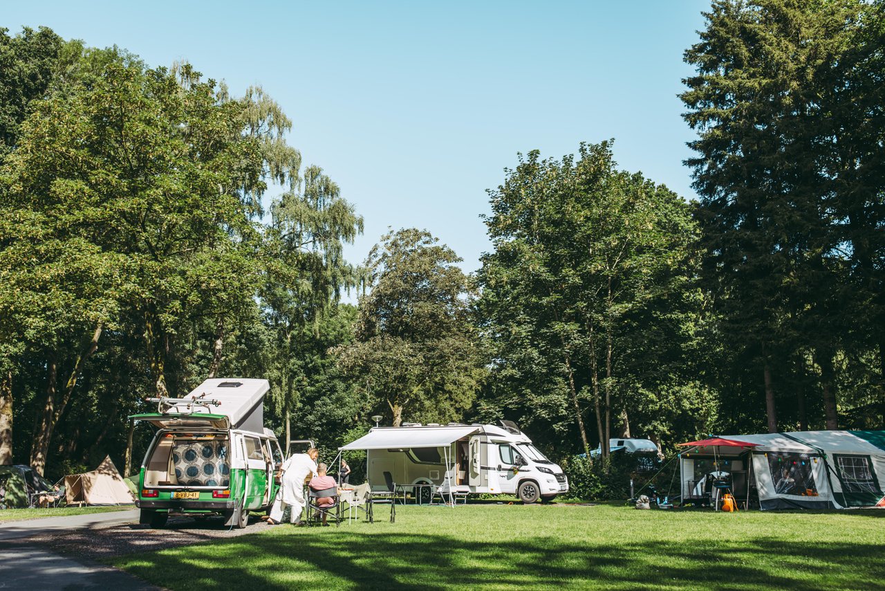 camper gaskocher Camplux Einzelbrenner-Propankocher 9.800 BTU, tragbare Gaskocher