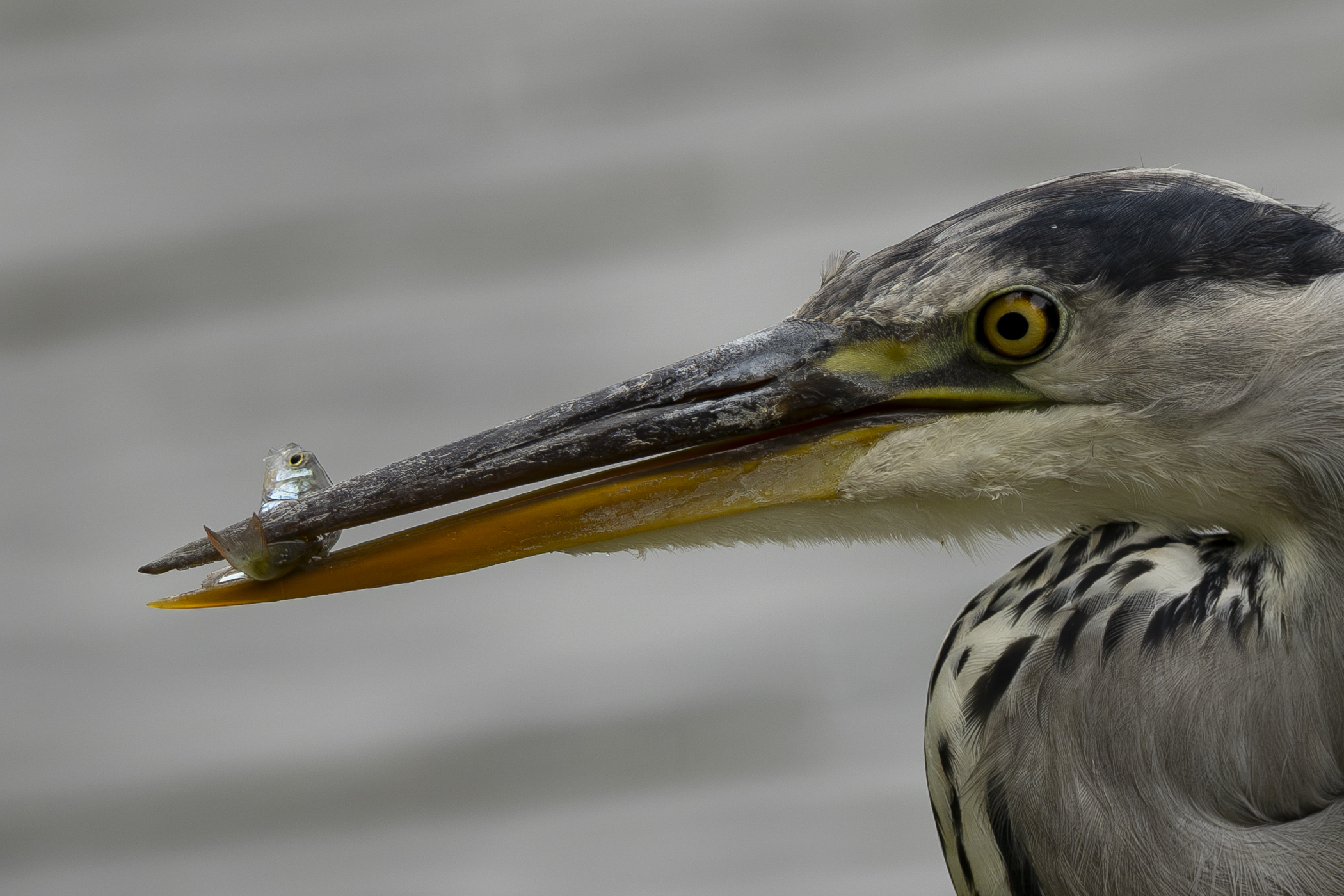 Foto-expositie: Onze favorieten