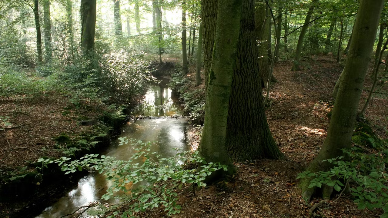 Beekdal Staverden