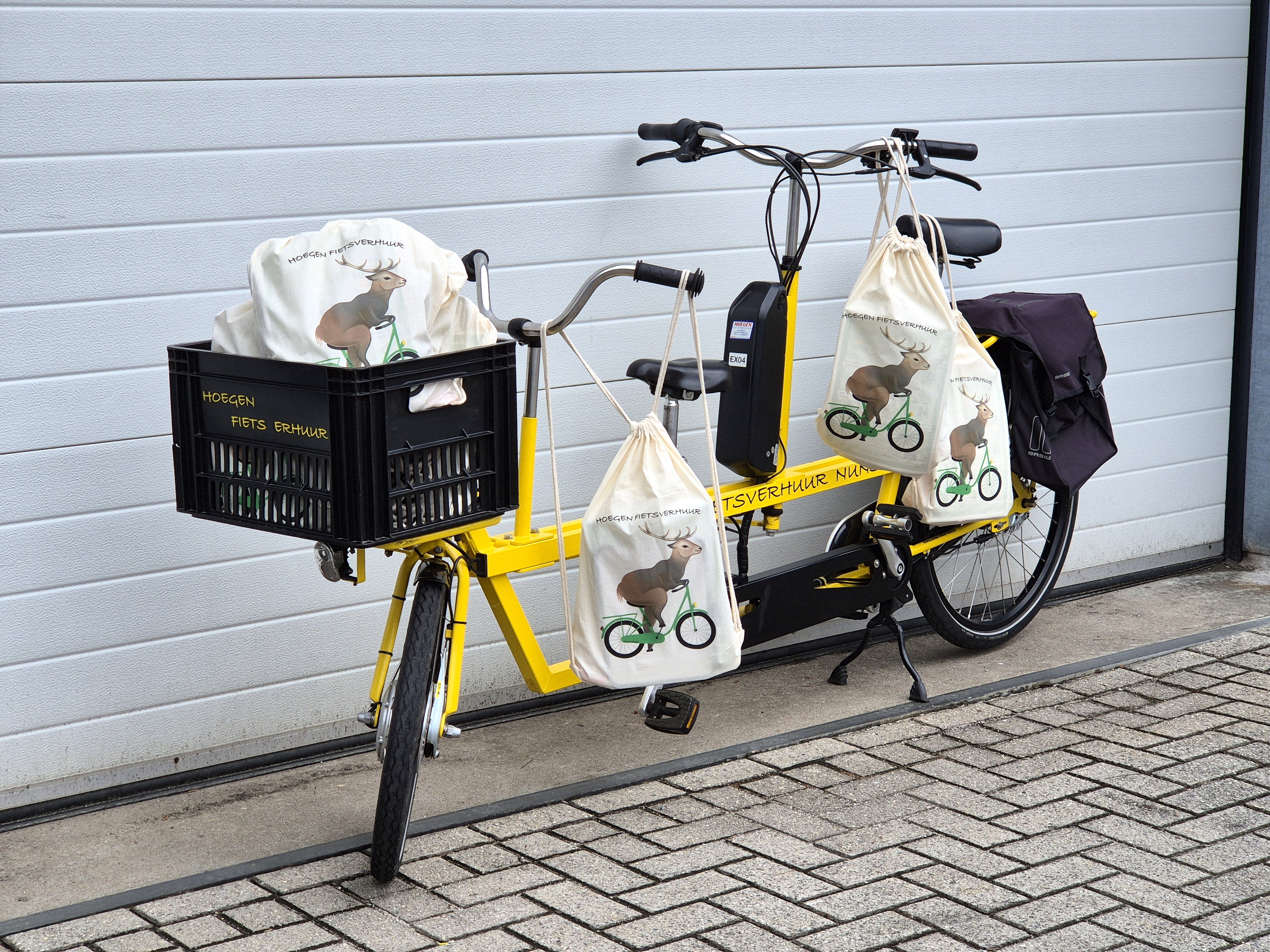 Elektrische kindertandem