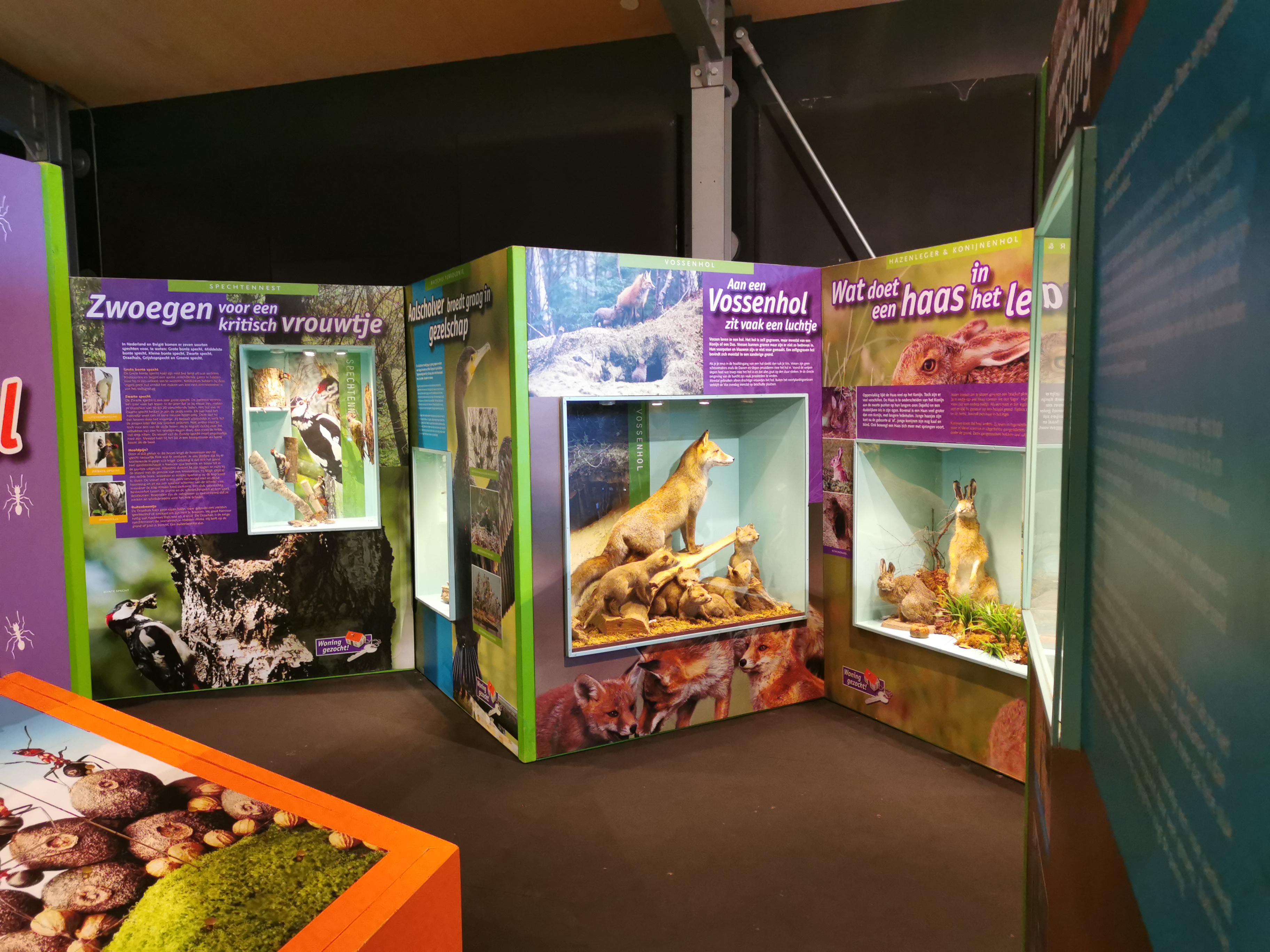 Expositie Bezoekerscentrum