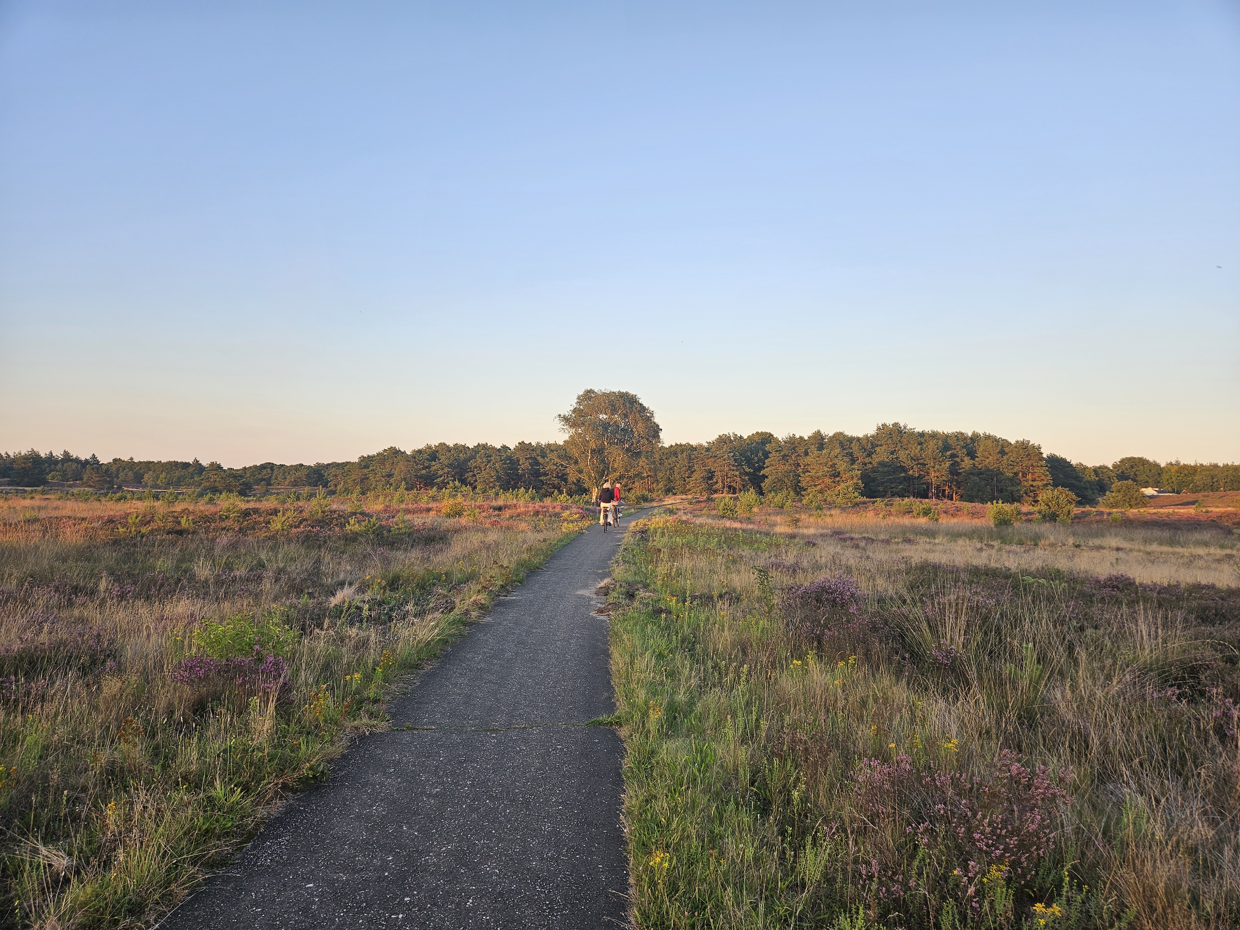 Fietsers heide Vierhouten