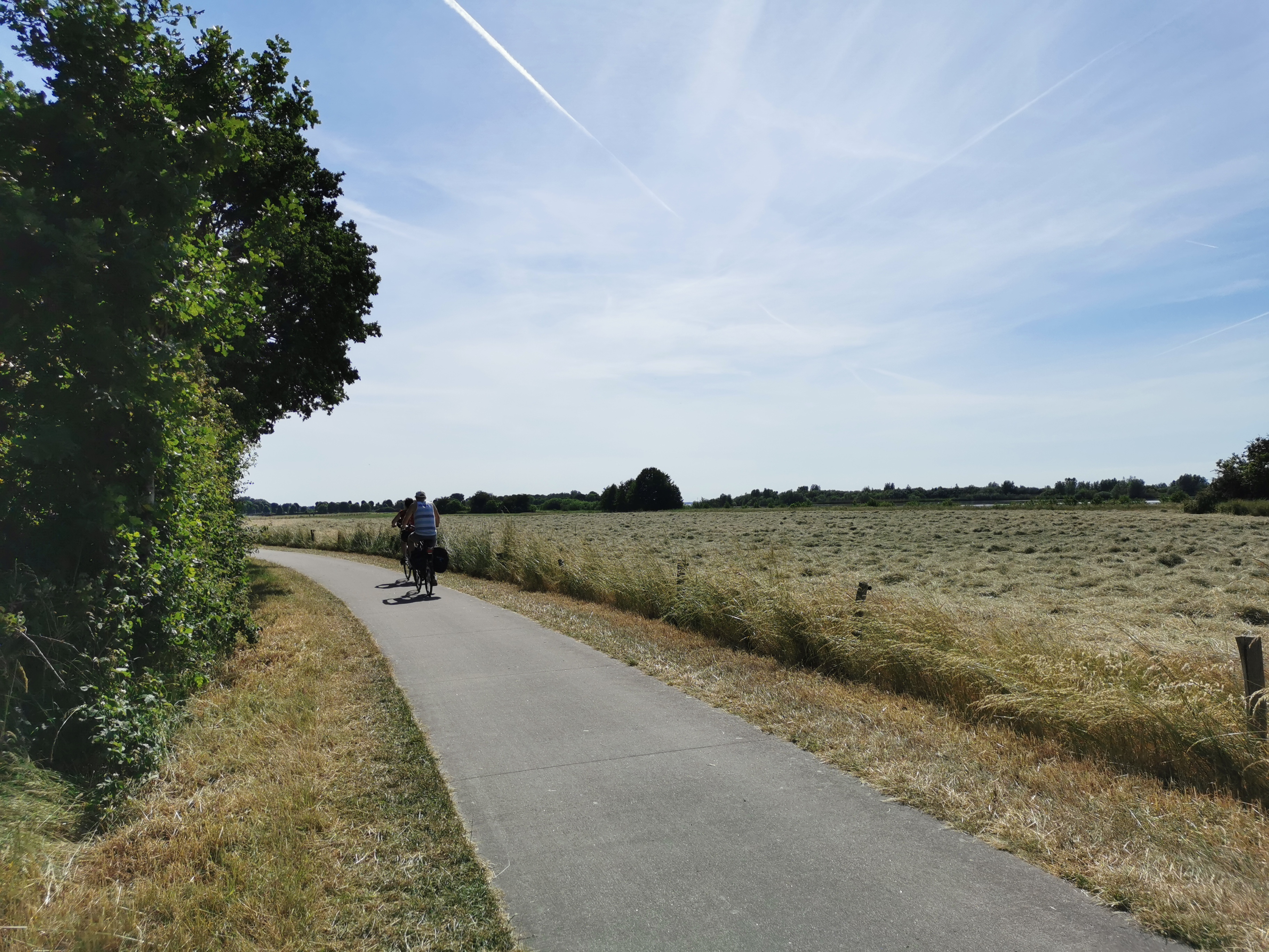 Fietsers in zomer