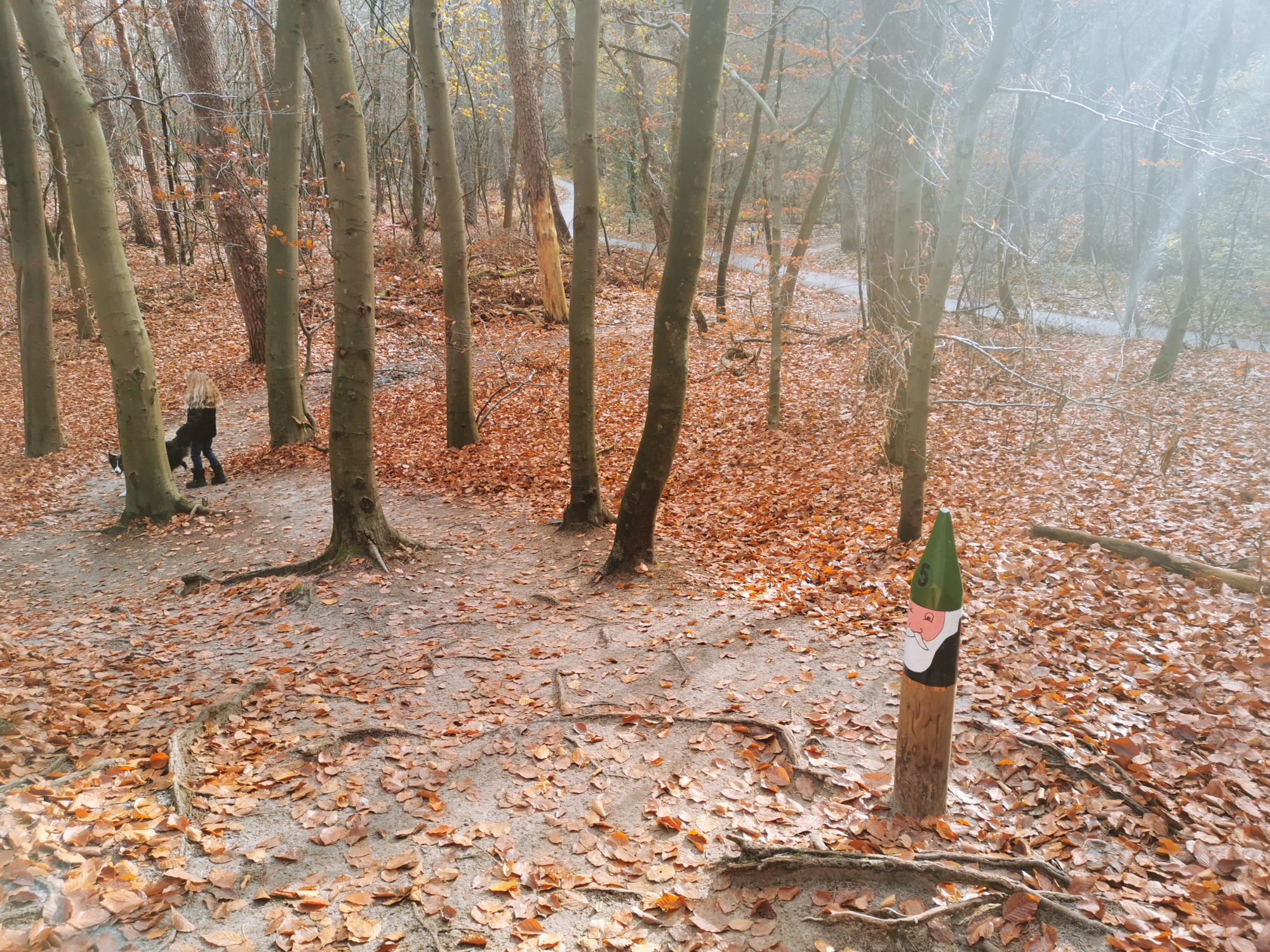 Kabouterpad met zonnestralen