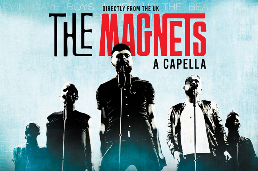 The Magnets