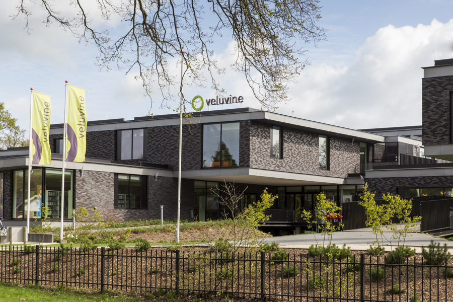 Veluvine