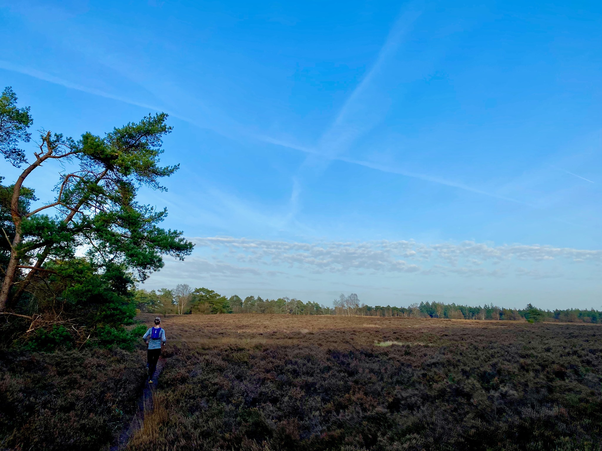 Veluwse Ultra Trail