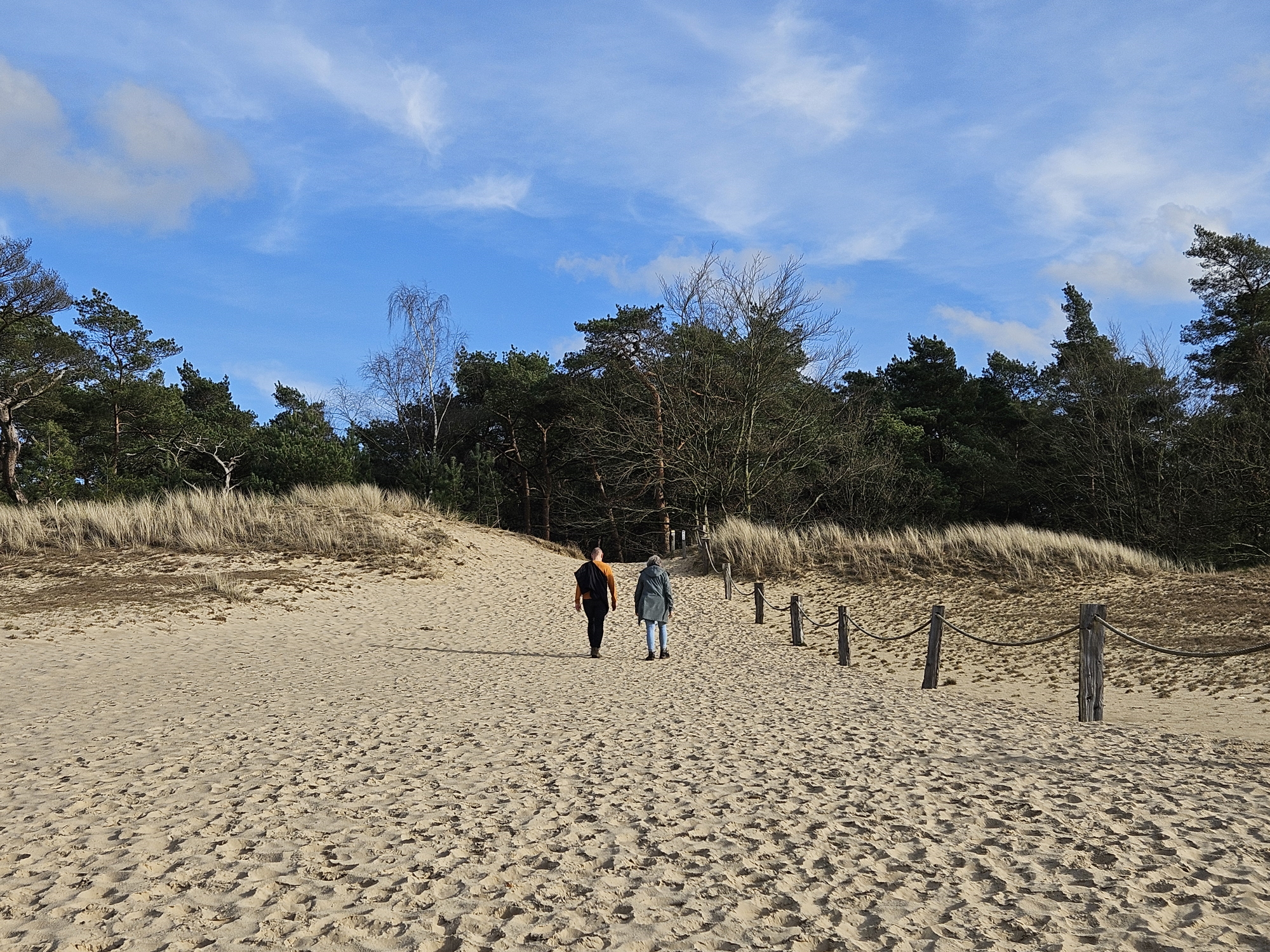 Veluwse wandeldagen