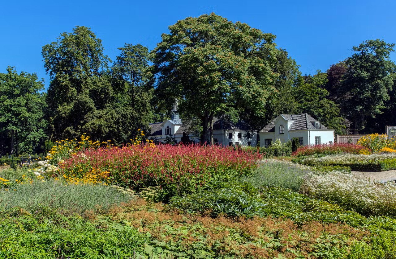 Verborgen parels