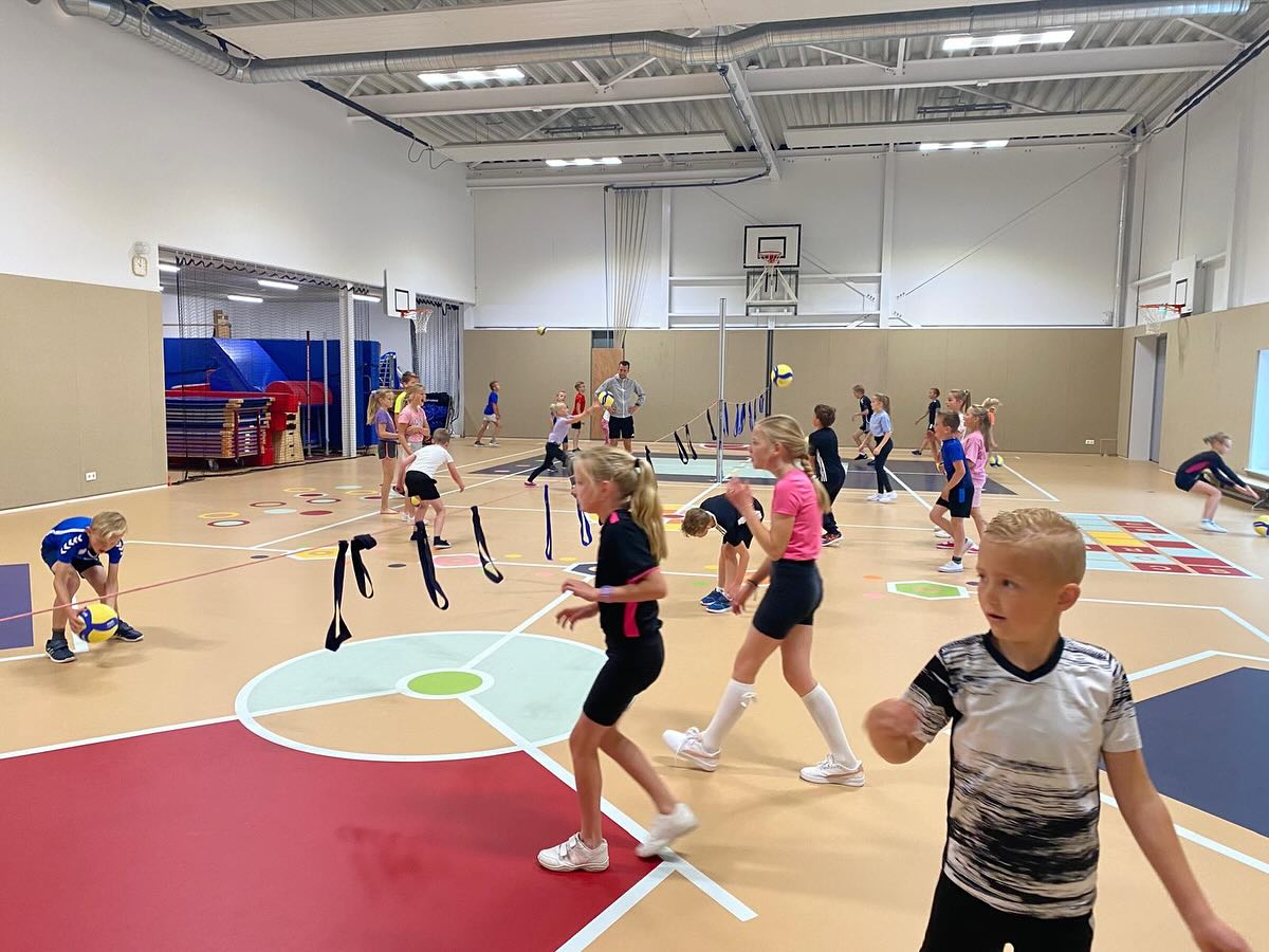 Volleybal