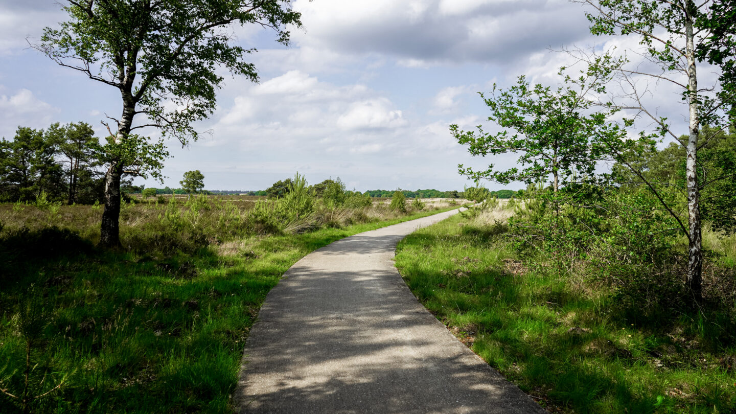 Wandelen