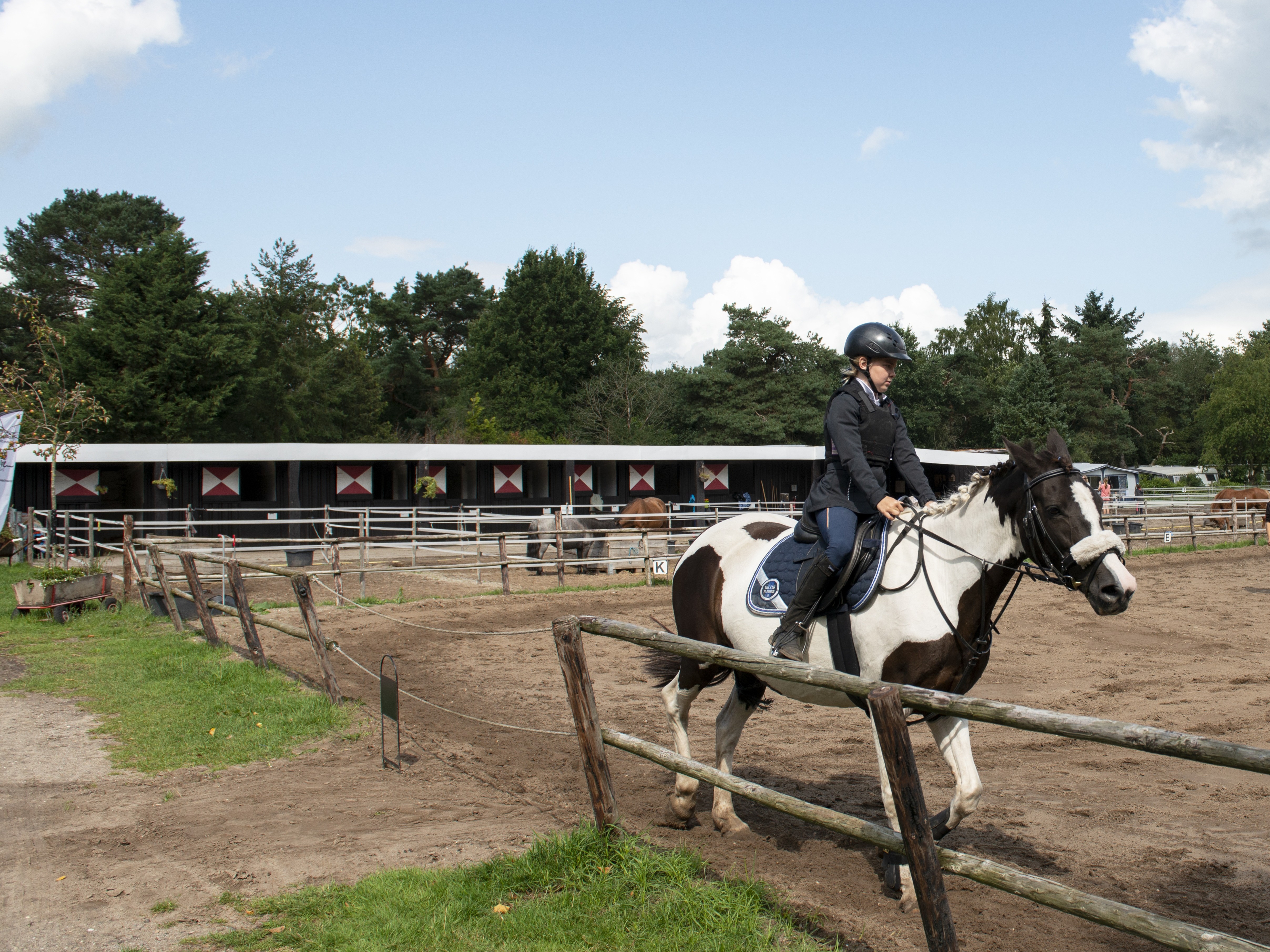 Website Witte Wieven