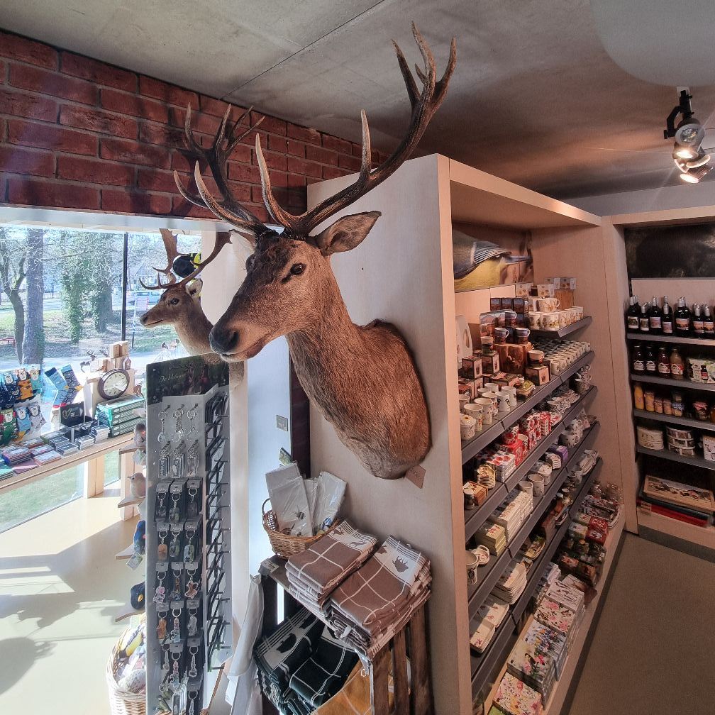 Winkel
