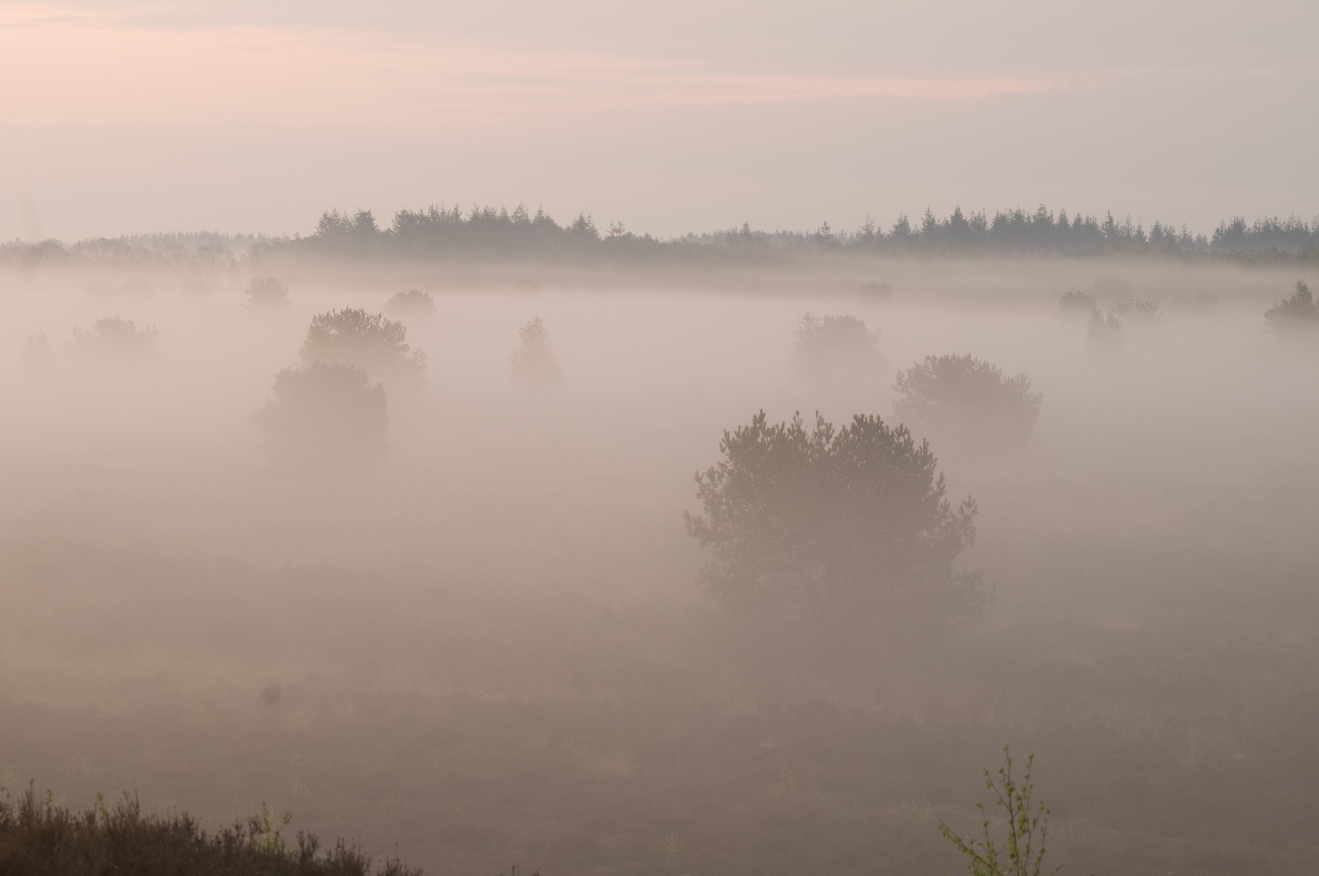 Zonsopkomst