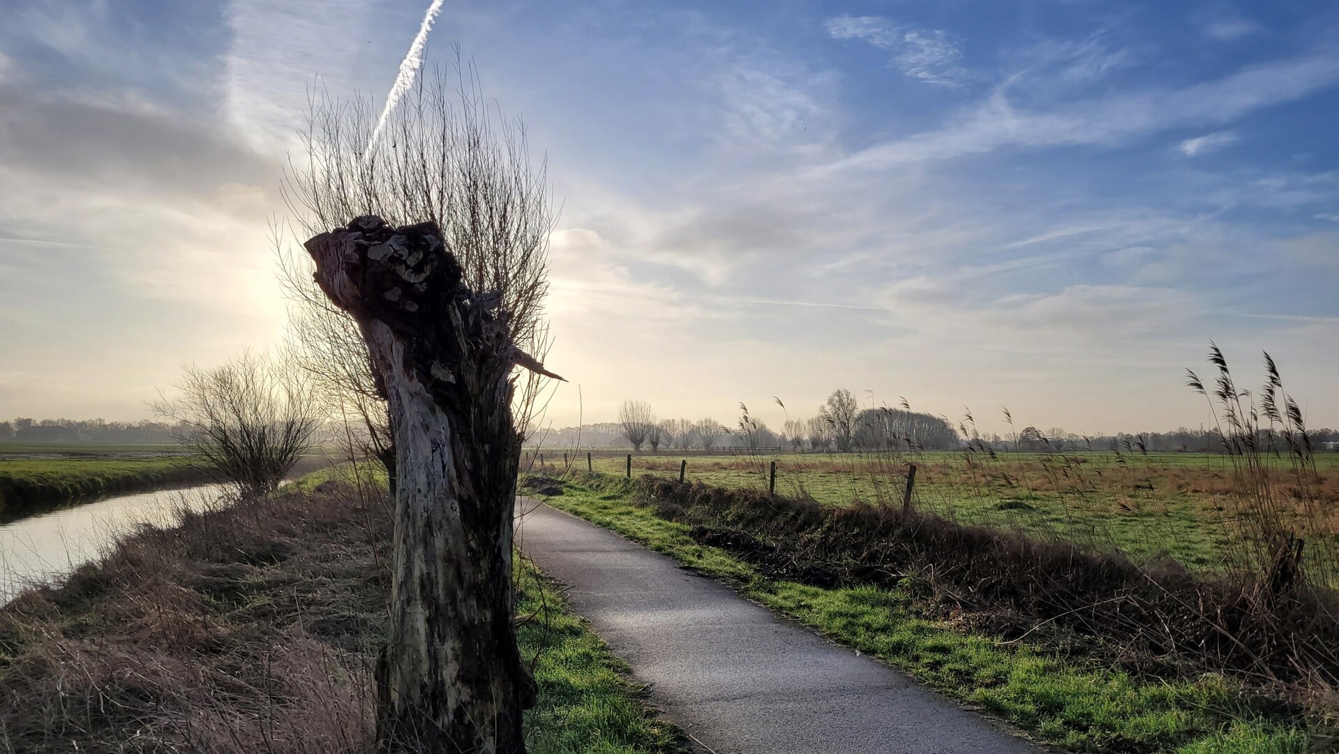THOR Mars Rondom Roosendaal