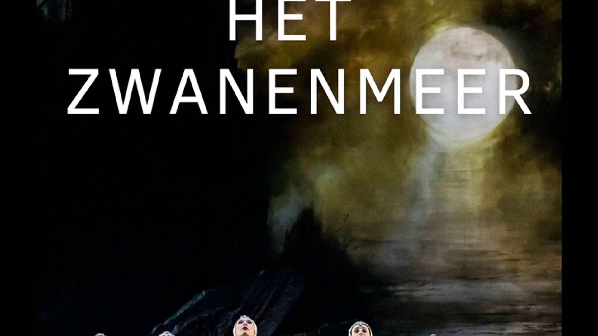 Het Zwanenmeer