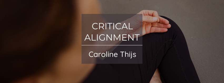 Critical Alignment Workshop