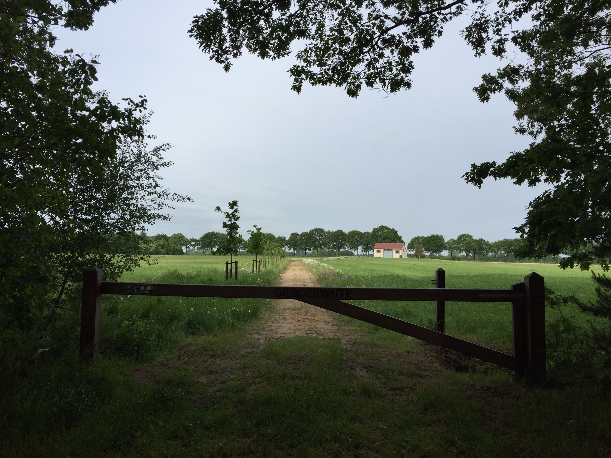 KNNV Excursie Voorjaarsbloeiers